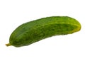Isolated cucumber