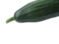 Isolated cucumber ending