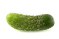 Isolated cucumber. One bended curved cucumber on white background with clipping path