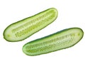 Isolated cucumber slices Royalty Free Stock Photo