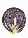 Red cabbage, white background Royalty Free Stock Photo