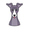 Isolated cute avatar of a whippet dog breed Vector