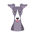 Isolated cute avatar of a whippet dog breed Vector