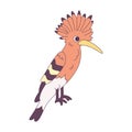 Isolated cute bird icon Woodpecker Vector