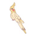 Isolated cute cockatoo bird icon Vector