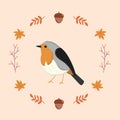 Isolated cute colored bird autumn animal Vector