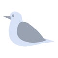 Isolated cute grey pigeon sketch icon Vector