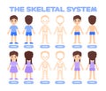 Isolated Cute Little Boy, Girl and Human Skeletal System in Colorful Cartoon style. Skull, Scapula, Pelvis Front Back View. Poster Royalty Free Stock Photo