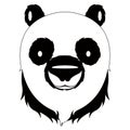 Isolated cute panda avatar