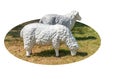 Isolated cute realistic sculpture of two sheep and grass for garden decoration on white background Royalty Free Stock Photo