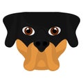 Isolated cute rottweiler cartoon