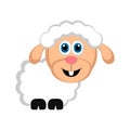Isolated cute sheep Royalty Free Stock Photo