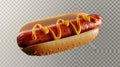 Isolated 3D hot dog on transparent background. Vectr illustration of traditional American fast food made of sesame buns Royalty Free Stock Photo