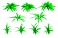Isolated 3d render illustration of isometric bush and grass types Royalty Free Stock Photo