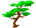 Isolated 3d render illustration of isometric lowpoly game acacia tree