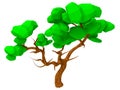 Isolated 3d render illustration of isometric lowpoly game oak tree