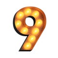 Isolated 3d rendered image of marquee number nine