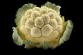 Isolated 3D Rendering of Fresh Cauliflower on Transparent Background, Generative Ai Royalty Free Stock Photo