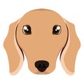 Isolated dachshund avatar