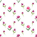Dark pink watercolor painted tulip in seamless pattern on white background. Tulips are isolated and pathed. Royalty Free Stock Photo