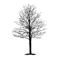 Isolated dead tree. vector logo design. natural plant