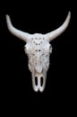 Carved buffalo skeleton head against black background