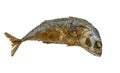 Isolated deep-fried mackerel on white background, top view deep-fried mackerel, crispy skin