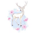 Watercolor vector illustration isolated deer, big antlers, flowers and birds on the horns, branches cherry flowering Royalty Free Stock Photo