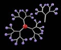 isolated dendrimer for drug delivery Royalty Free Stock Photo