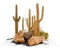 isolated desert plant with rock group on white background with clipping path Royalty Free Stock Photo