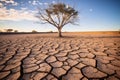 Isolated died tree in drought land, dry soil ground desert area with cracked mud in arid landscape. Shortage of water, climate Royalty Free Stock Photo