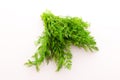 Isolated dill Royalty Free Stock Photo