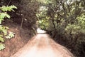 Isolated Dirt Road Passing Through the Forest in Chania, Crete Island, Greece. Walking Trail Passes Through Dense Trees Royalty Free Stock Photo