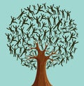 Isolated Diversity Tree people