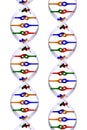 Isolated DNA helixes