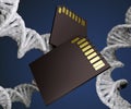 isolated DNA strand with memory storage card