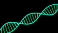 Isolated DNA Strands, illustration. DNA spirals Isolated on black Background. Genetics, science, genome, medicine, biology