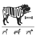 Isolated dog breed silhouettes set with names of Royalty Free Stock Photo