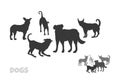 Isolated dogs group silhouette. Wild animals scene. Urban panorama with puppy crowd. Street pets. Black canine print