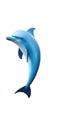 Isolated Dolphin On White Background Royalty Free Stock Photo