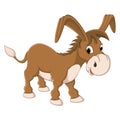 Isolated Donkey Vector Illustration