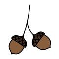 Isolated doodle acorn. Hand drawn vector illustration of autumn acorn clip art