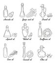 9 isolated doodle cooking oils