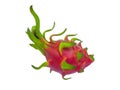 Isolated dragon fruit with clipping path on white background by closeup texture of pitahaya Royalty Free Stock Photo