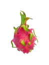 Isolated dragon fruit with clipping path on white background by closeup texture of pitahaya Royalty Free Stock Photo