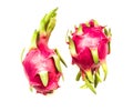 Isolated dragonfruits. two dragon fruits pitayas isolated on white background Royalty Free Stock Photo