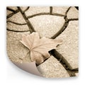 Isolated dry leaf on dry ground - concept image Royalty Free Stock Photo