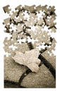 Isolated dry leaf on the ground - concept image in puzzle shape Royalty Free Stock Photo