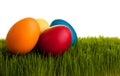 Isolated easter eggs on green grass