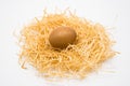 Isolated egg on nest with white background